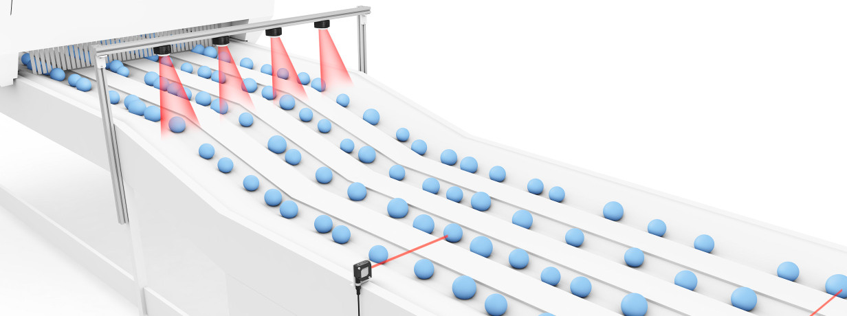 Vision and photoelectric sensors integrated into a high-speed fruit sorting line, ensuring accurate grading and alignment of various fruits.